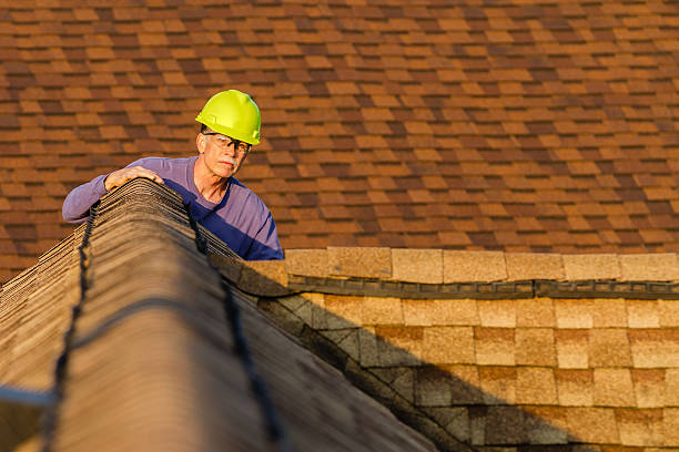 Roof Gutter Cleaning in Harahan, LA